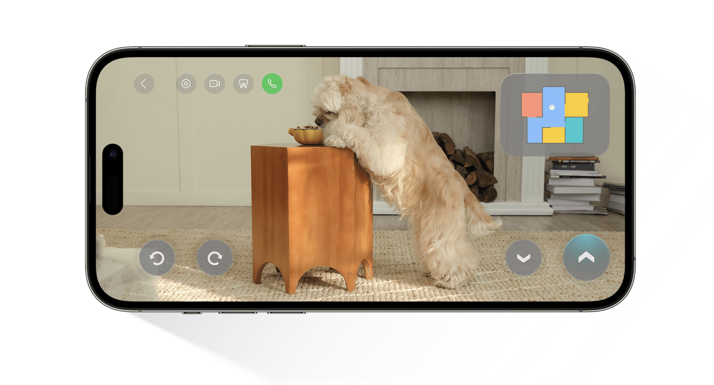 Roborock app video call view showing a dog beside furniture at home.