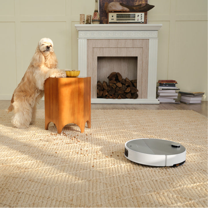 Dog beside spilled food while Saros 10 cleans nearby.