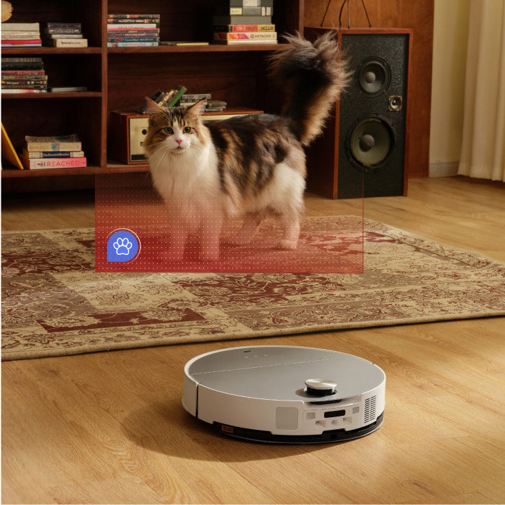 Roborock app showing the robot searching for a pet in the home.